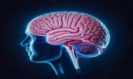 What Are the Different Types of Brain Surgery?